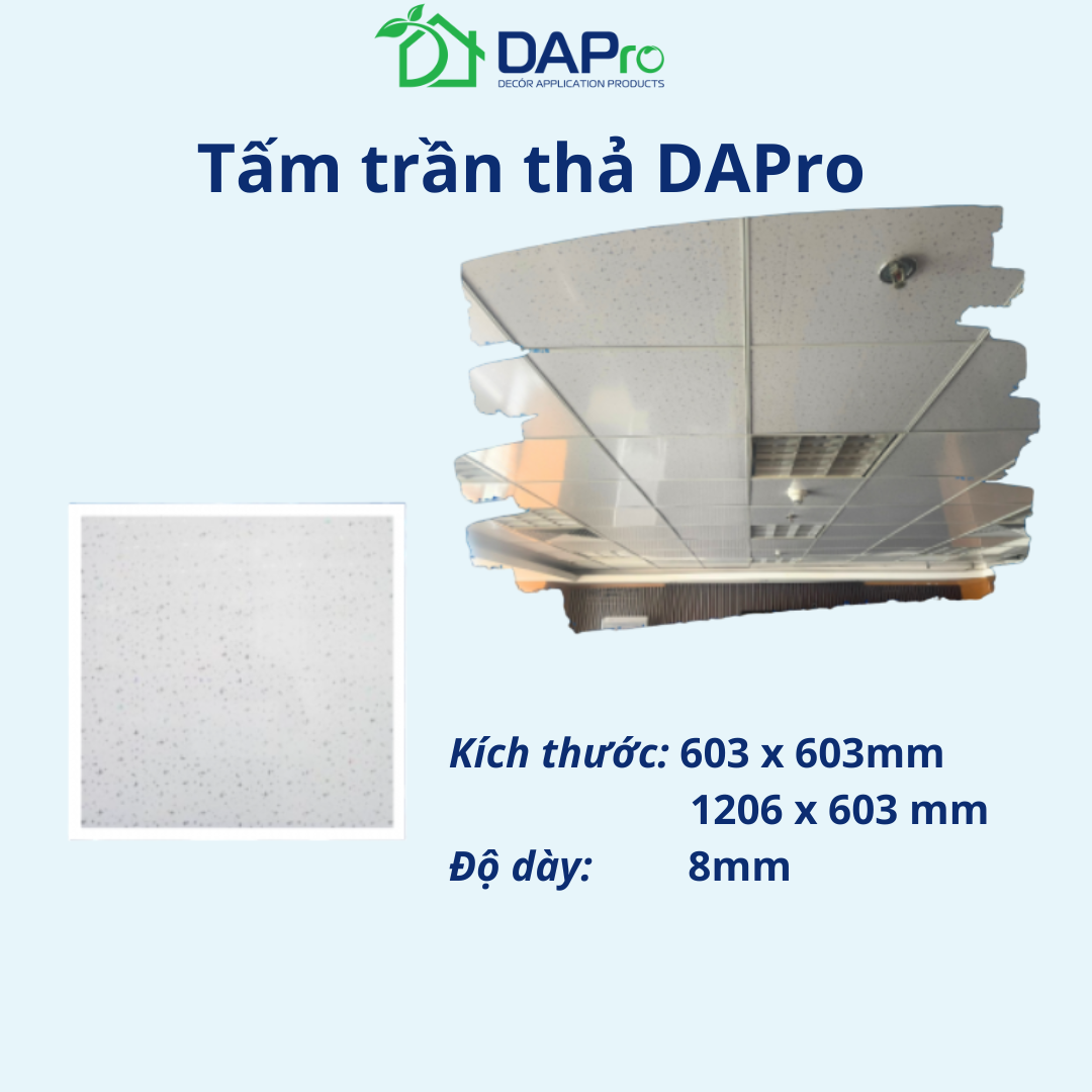 trần thả web (1)