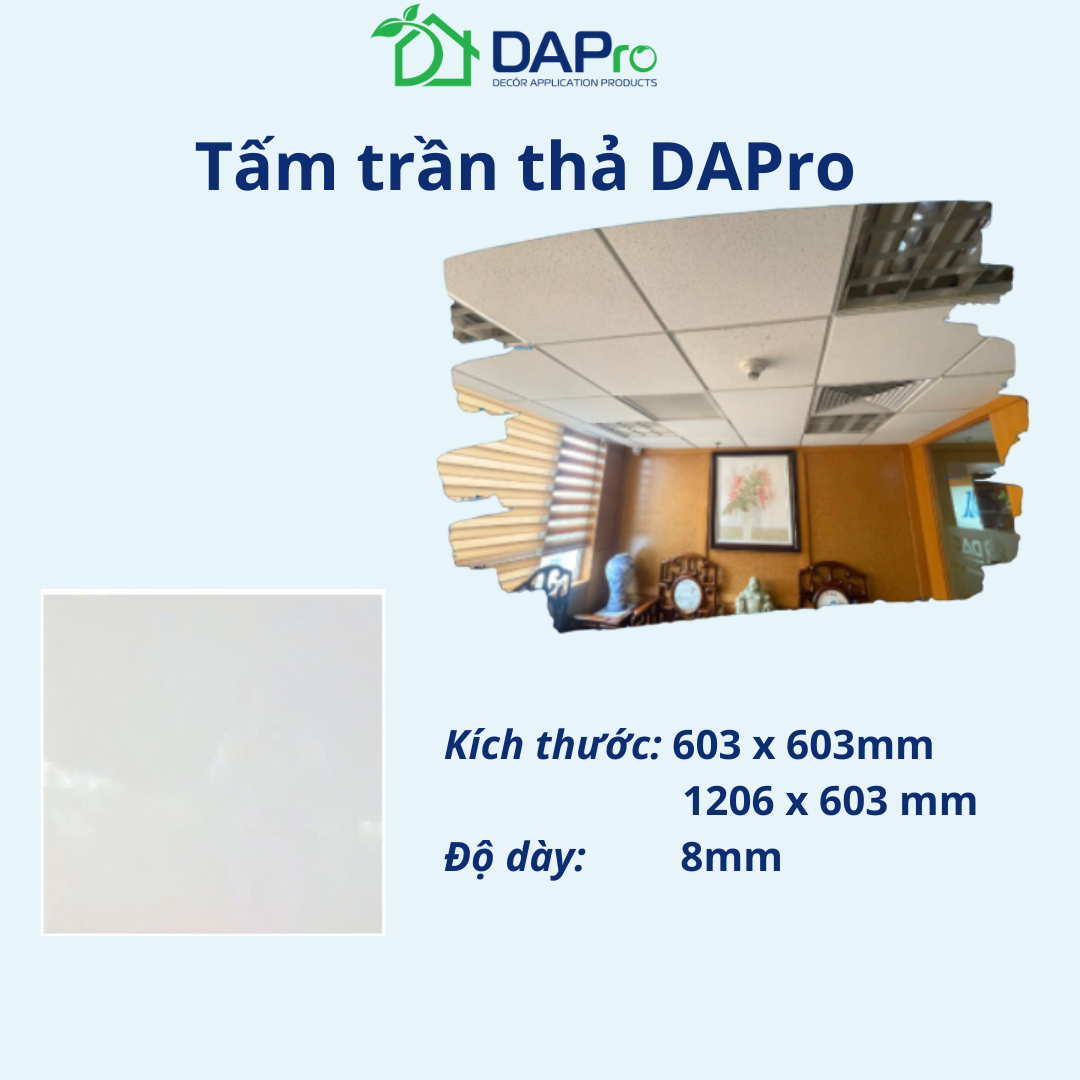 trần thả web (2)